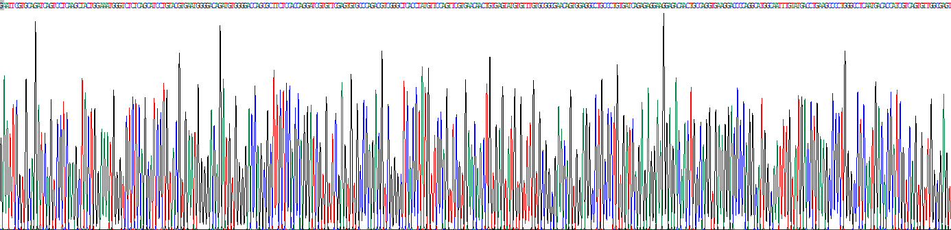 Recombinant Insulin Like Growth Factor 2 Receptor (IGF2R)