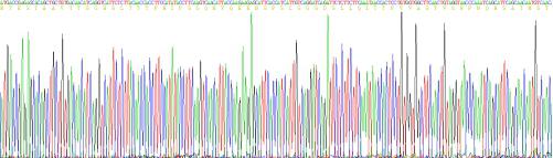 Recombinant Glycophorin A (GYPA)
