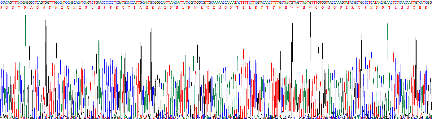 Recombinant Ribonuclease A3 (RNASE3)