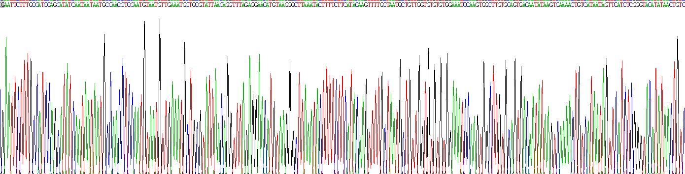 Recombinant Ribonuclease A3 (RNASE3)