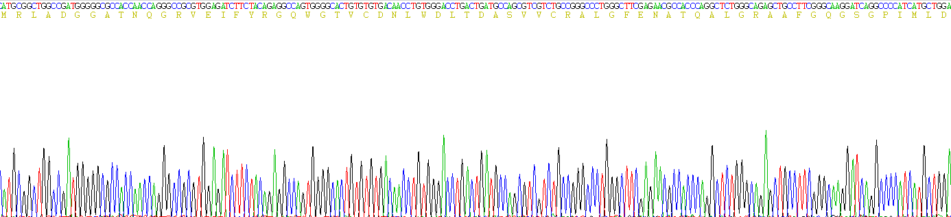 Recombinant Lectin Galactoside Binding, Soluble 3 Binding Protein (LGALS3BP)