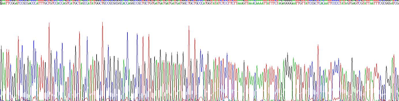 Recombinant Cluster Of Differentiation 7 (CD7)