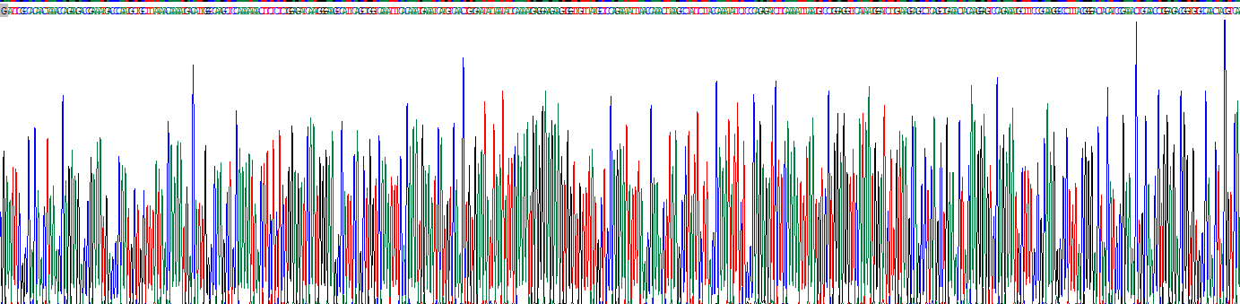 Recombinant Neprilysin (CD10)