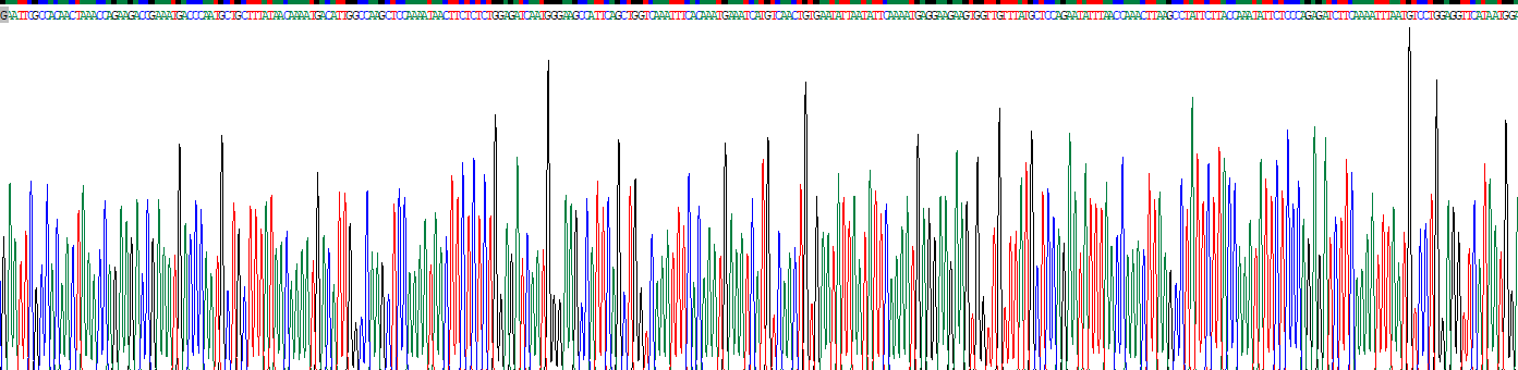 Recombinant Neprilysin (CD10)