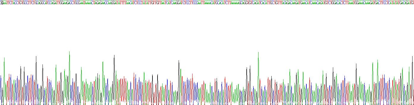 Recombinant Selenoprotein P1, Plasma (SEPP1)