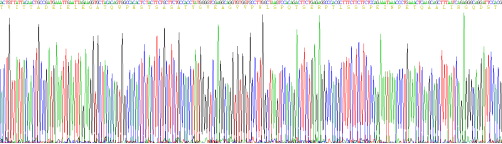 Recombinant Versican (VCAN)