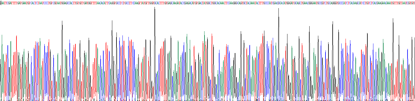 Recombinant Versican (VCAN)