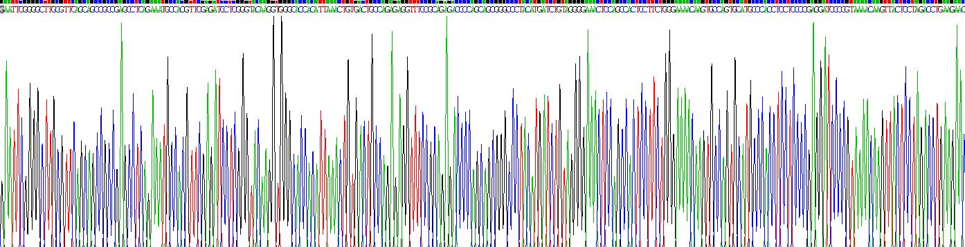 Recombinant Interleukin 2 Receptor Alpha (IL2Ra)
