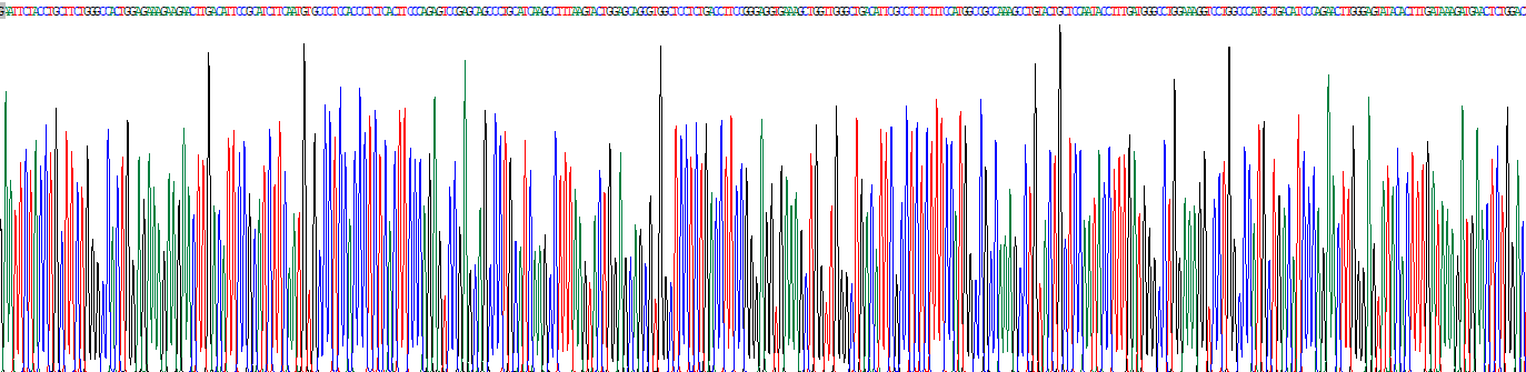 Recombinant Matrix Metalloproteinase 19 (MMP19)