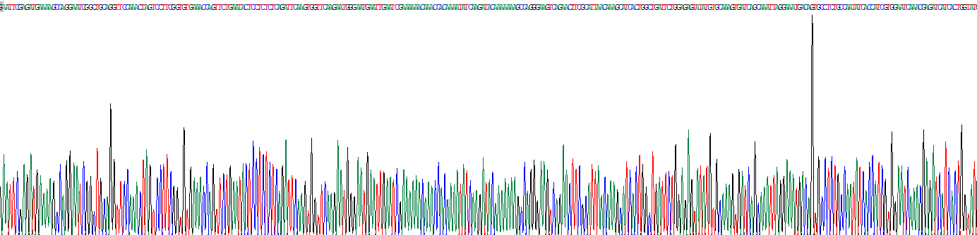 Recombinant Neuregulin 1 (NRG1)