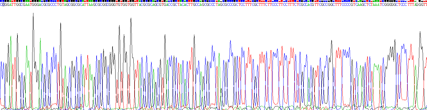 Recombinant Cluster Of Differentiation 19 (CD19)