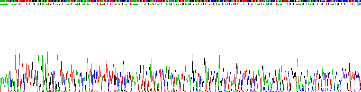 Recombinant Angiotensin I Converting Enzyme 2 (ACE2)