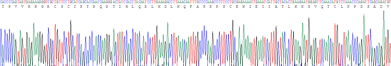 Recombinant Monokine Induced By Interferon Gamma (MIg)