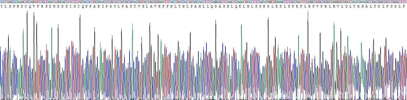 Recombinant Leucine Rich Alpha-2-Glycoprotein 1 (LRG1)