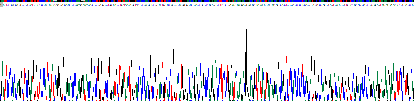 Recombinant Immunoglobulin D (IgD)