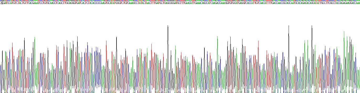 Recombinant Annexin A2 (ANXA2)