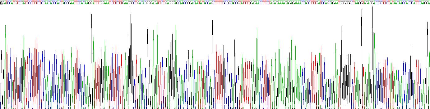 Recombinant Sperm Protein 17 (Sp17)