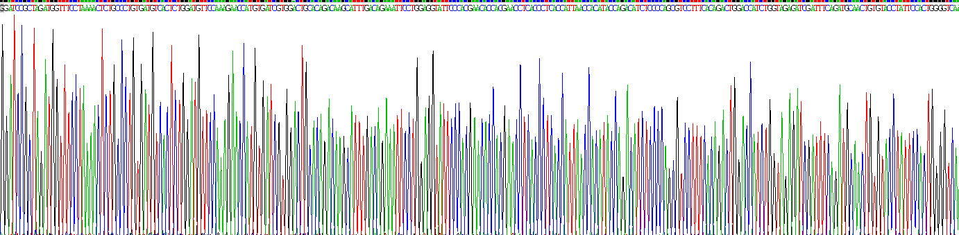 Recombinant Toll Like Receptor 7 (TLR7)