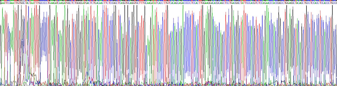 Recombinant Syndecan 1 (SDC1)