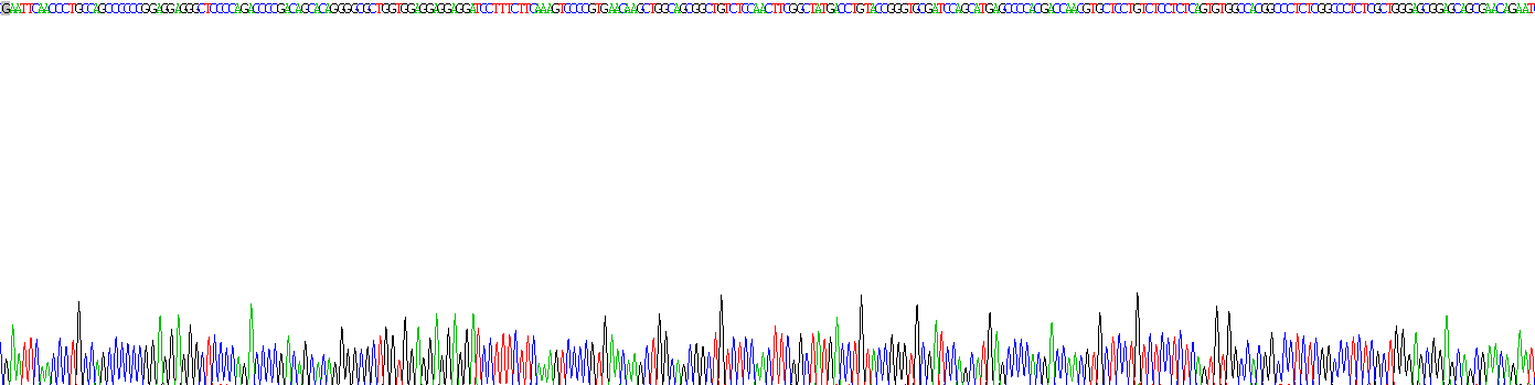 Recombinant Pigment Epithelium Derived Factor (PEDF)