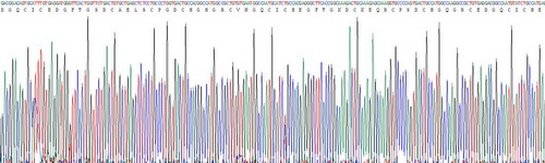 Recombinant Tenascin C (TNC)