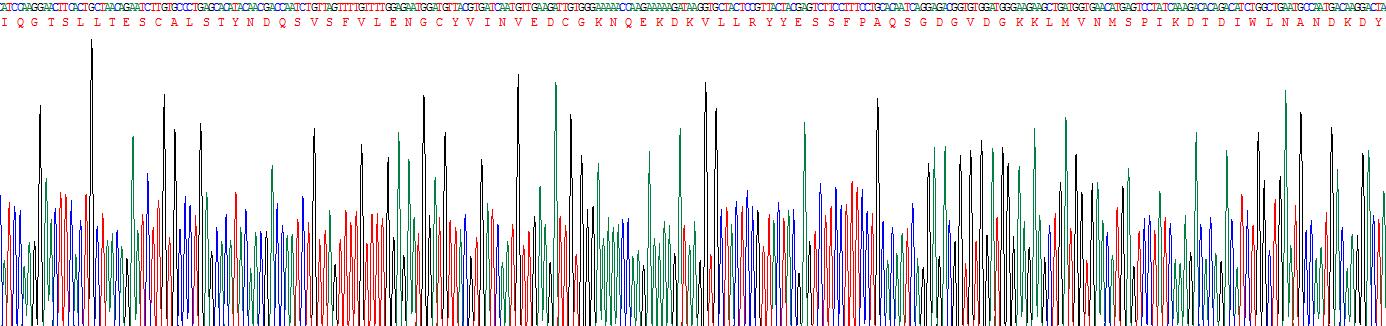 Recombinant Interleukin 33 (IL33)