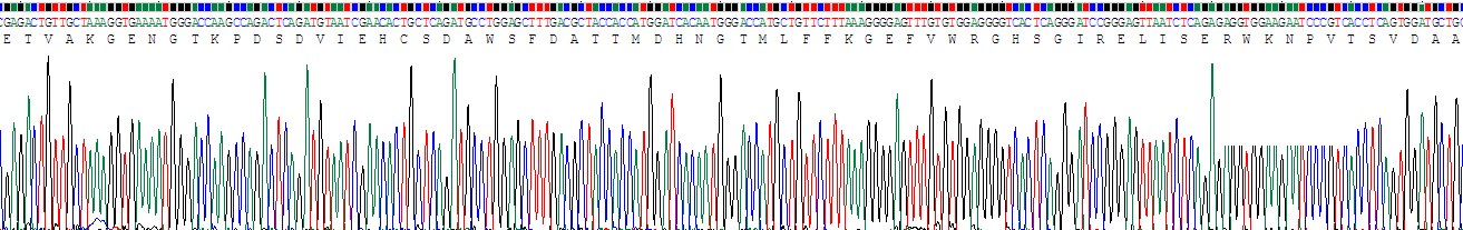 Recombinant Hemopexin (HPX)