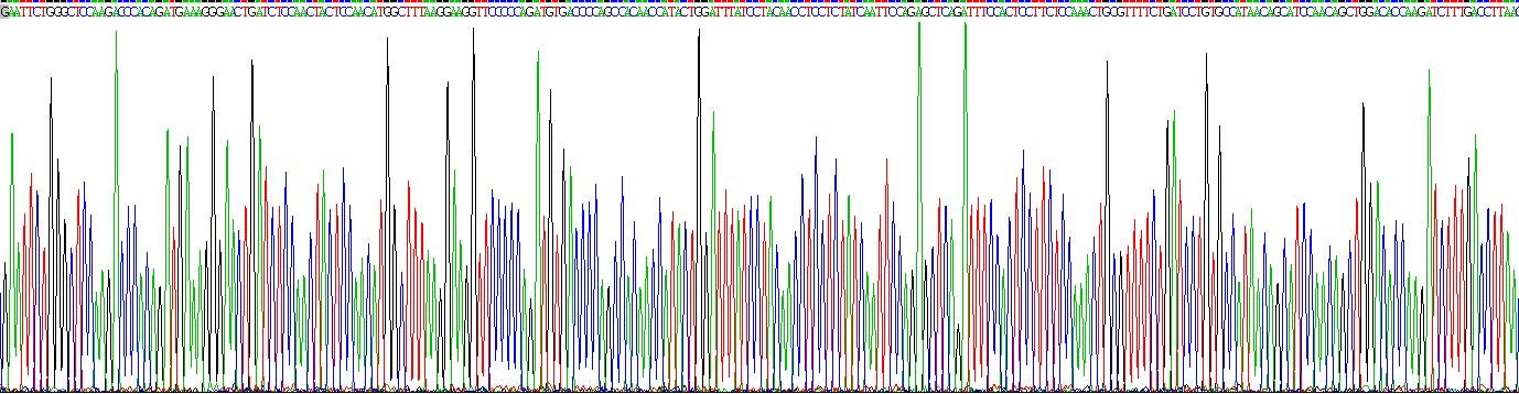Recombinant Toll Like Receptor 10 (TLR10)