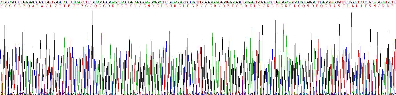 Recombinant S100 Calcium Binding Protein A2 (S100A2)