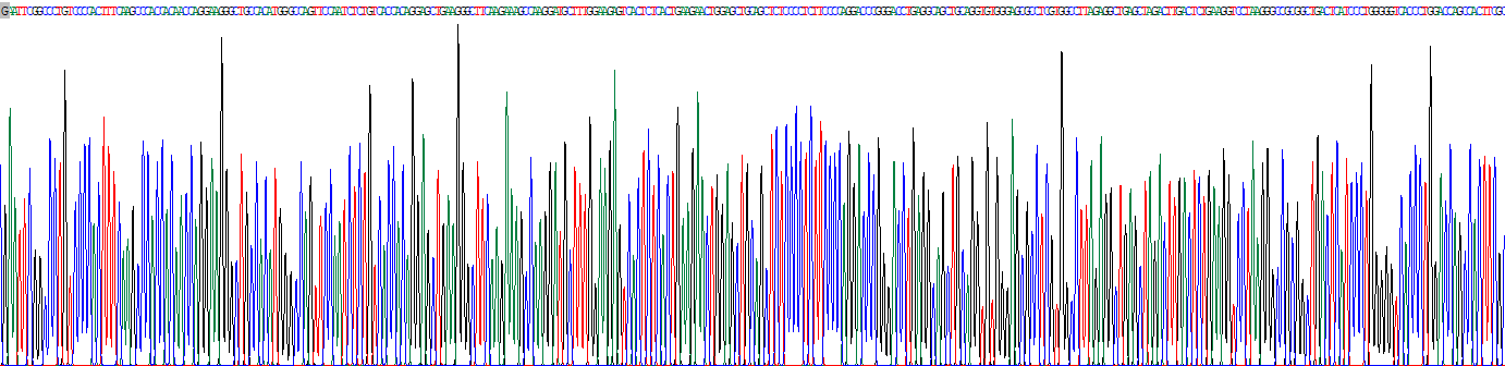 Recombinant Interleukin 29 (IL29)
