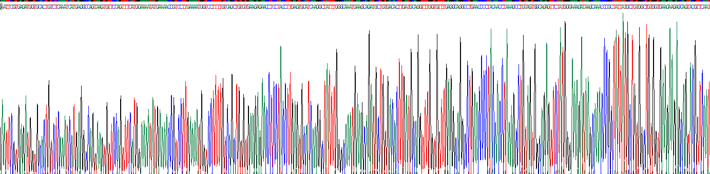 Recombinant Transferrin (TF)