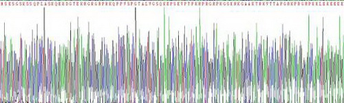 Recombinant High Mobility Group AT Hook Protein 1 (HMGA1)