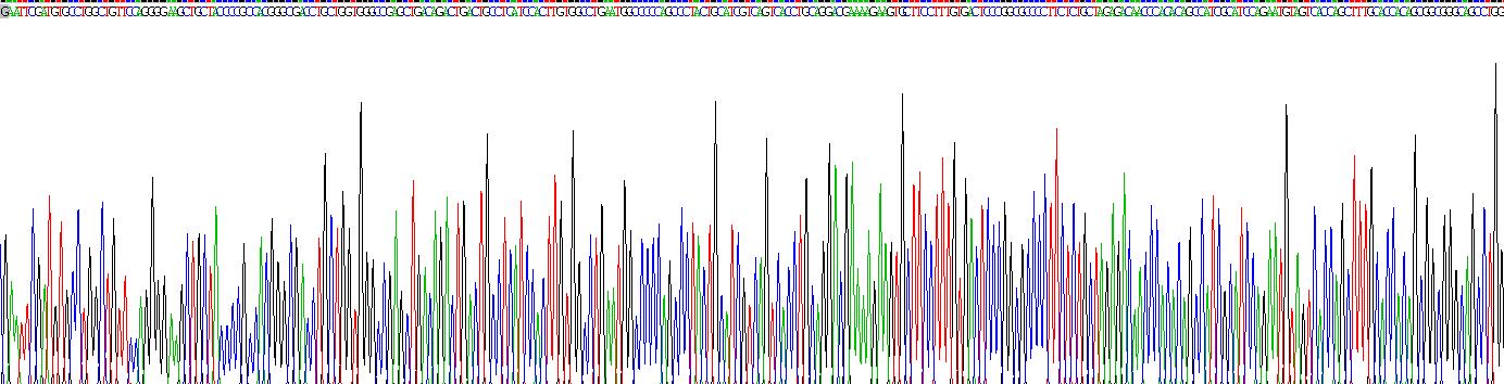 Recombinant Laminin Beta 2 (LAMb2)