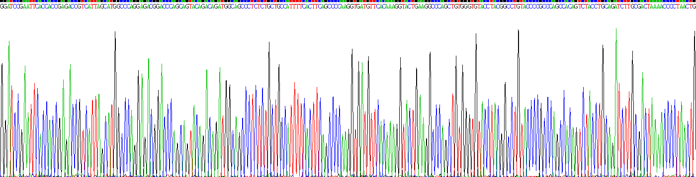 Recombinant Growth Differentiation Factor 11 (GDF11)