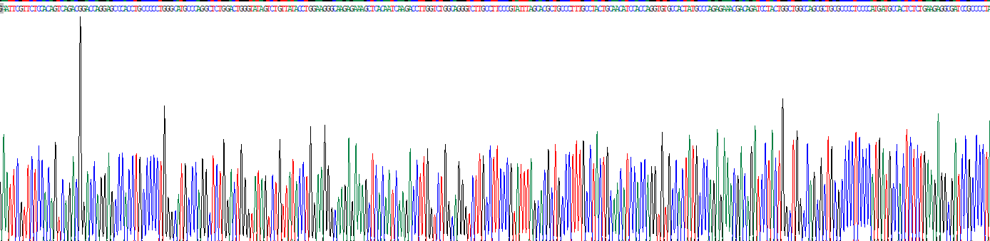 Recombinant Collagen Type IV Alpha 4 (COL4a4)