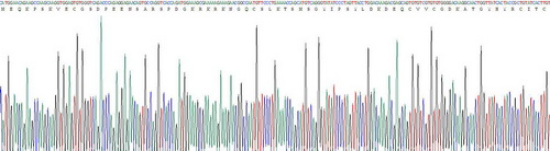 Recombinant Thyroid Hormone Receptor Alpha (THRa)