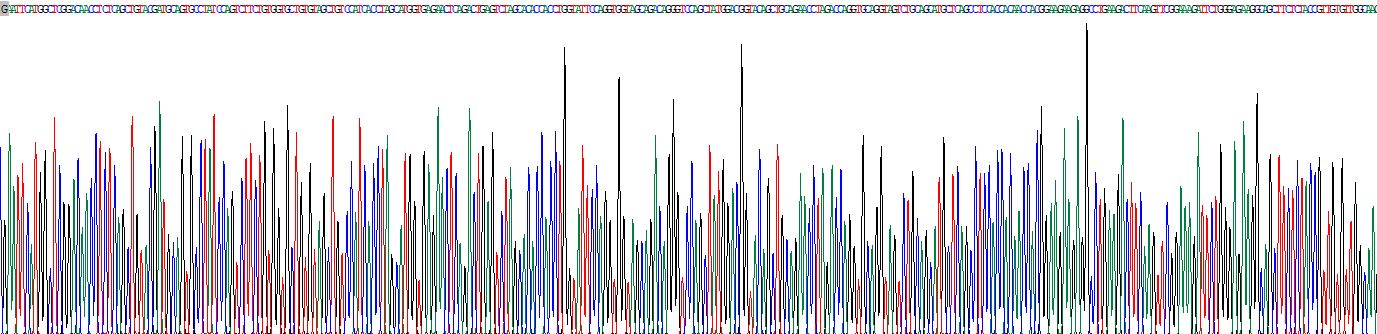 Recombinant Phosphoinositide Dependent Protein Kinase 1 (PDPK1)