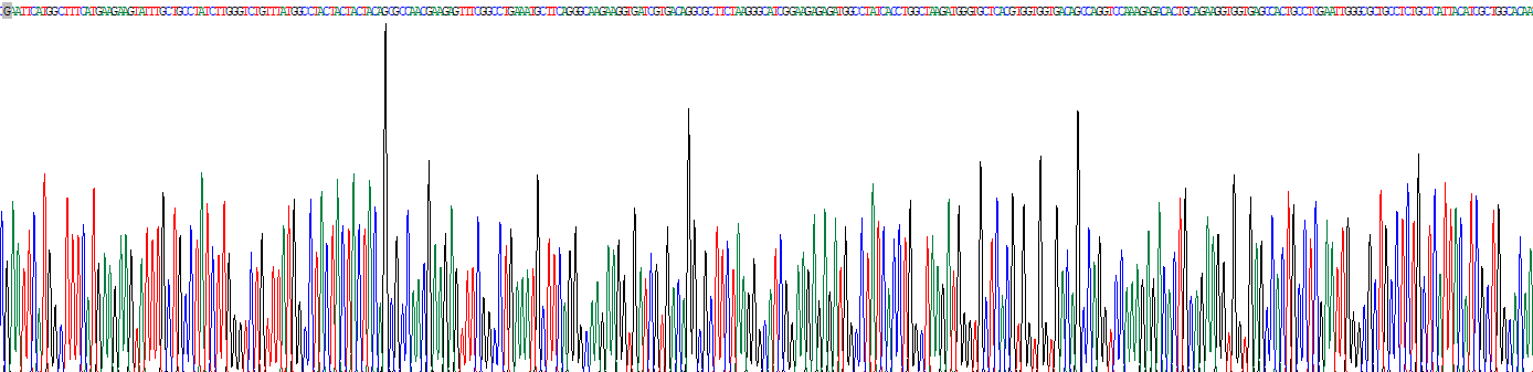 Recombinant 11-Beta-Hydroxysteroid Dehydrogenase Type 1 (HSD11b1)