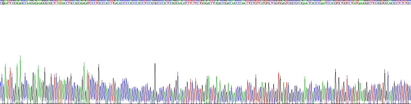 Recombinant Alpha-1,4-Galactosyltransferase (a4GALT)