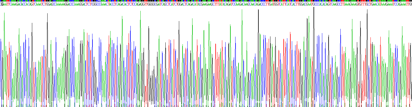 Recombinant Anterior Gradient 2 (AGR2)