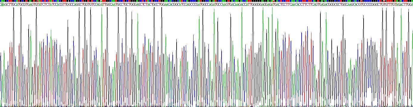 Recombinant Tubulin Alpha 3C (TUBa3C)