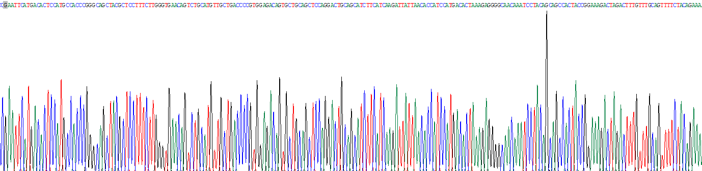Recombinant Nuclear Mitotic Apparatus Protein 1 (NUMA1)