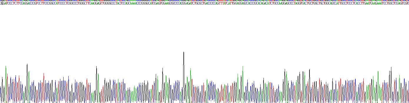 Recombinant Calpain 2 (CAPN2)