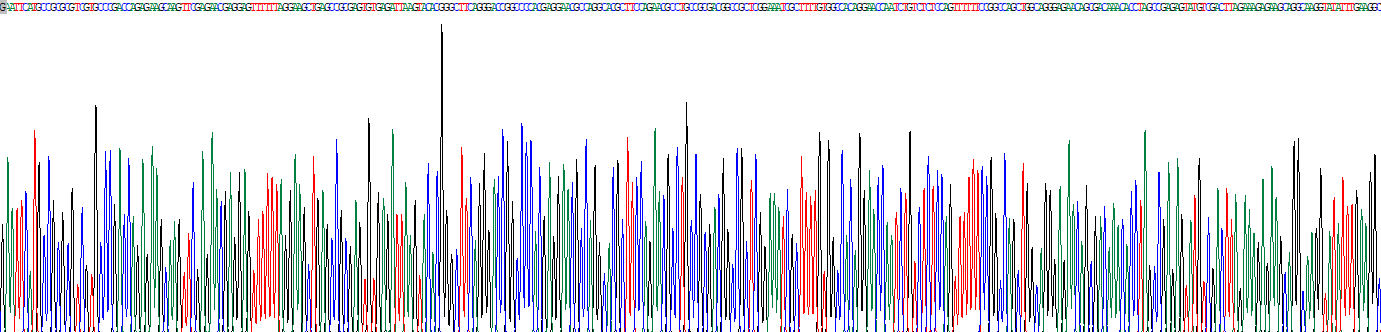 Recombinant Core Binding Factor Beta Subunit (CBFb)