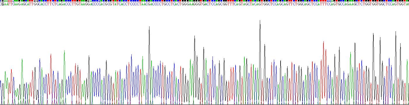 Recombinant Corneodesmosin (CDSN)
