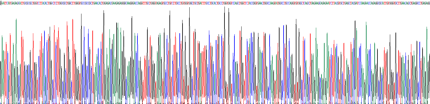 Recombinant Endonuclease G, Mitochondrial (ENDOG)