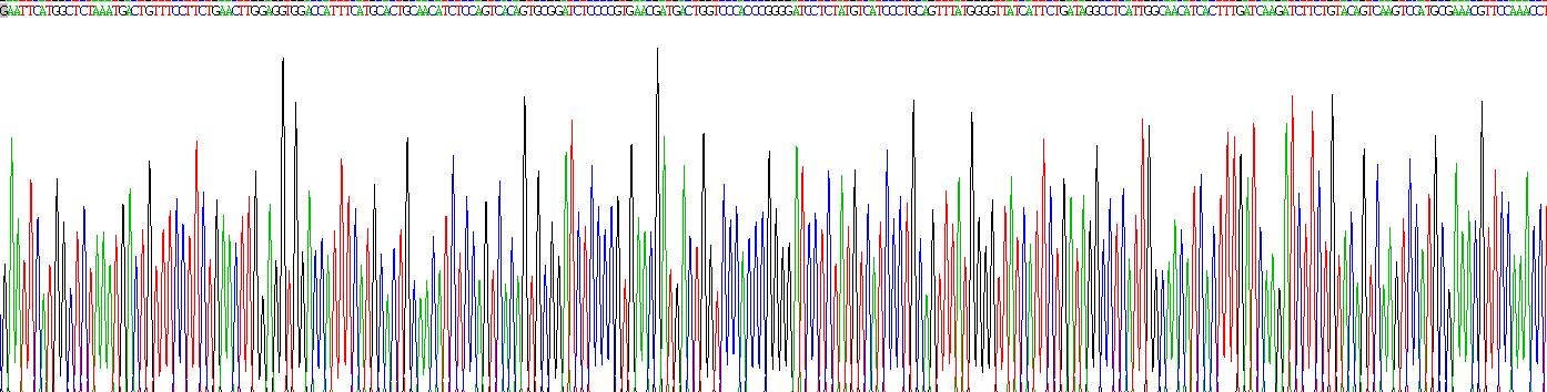 Recombinant Gastrin Releasing Peptide Receptor (GRPR)