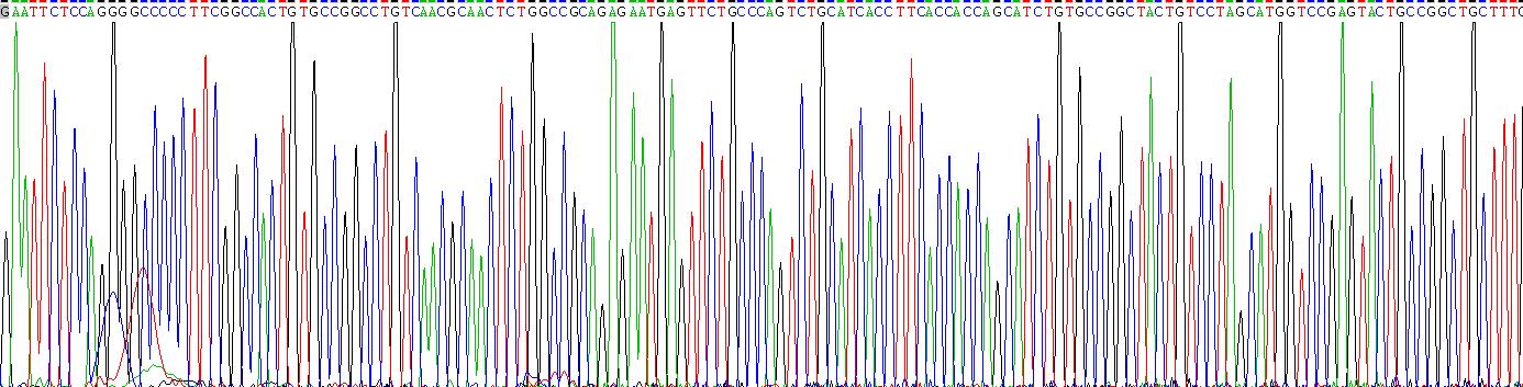 Recombinant Luteinizing Hormone Beta Polypeptide (LHb)