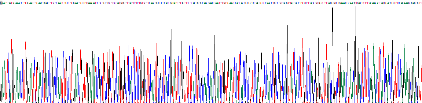 Recombinant Midline 1 (MID1)