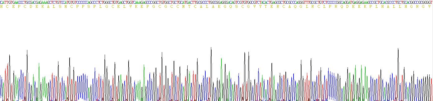 Recombinant Insulin Like Growth Factor Binding Protein 5 (IGFBP5)
